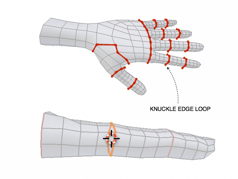 Bone Positioning Guide Blender Manual