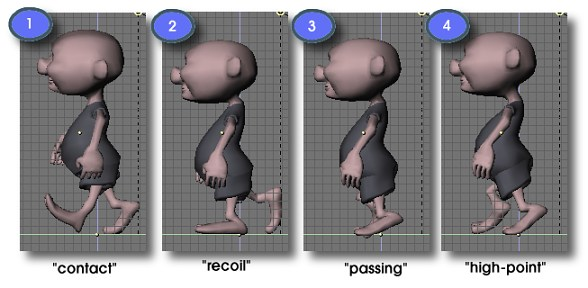 Character Walk Cycles Tutorial & Online Course - Animation Concepts 103  Training Video By Ask.Video : Ask.Video