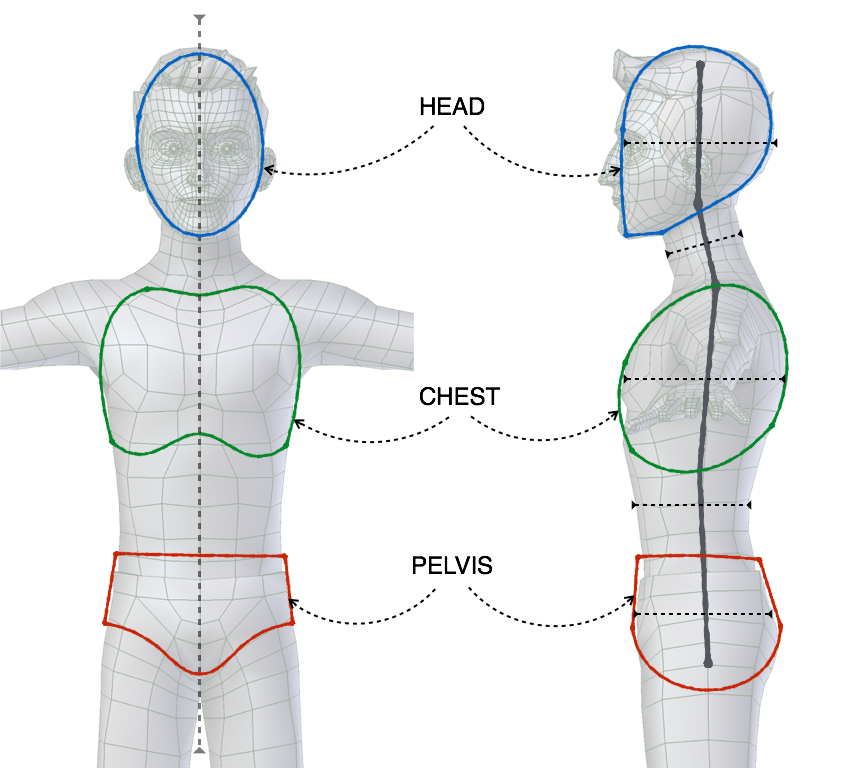 ../../../_images/addons_rigging_rigify_bone-positioning_torso-landmarks.png