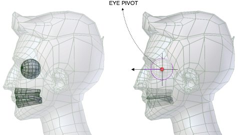 ../../../_images/addons_rigging_rigify_bone-positioning_face-eyes-pivot-position.png