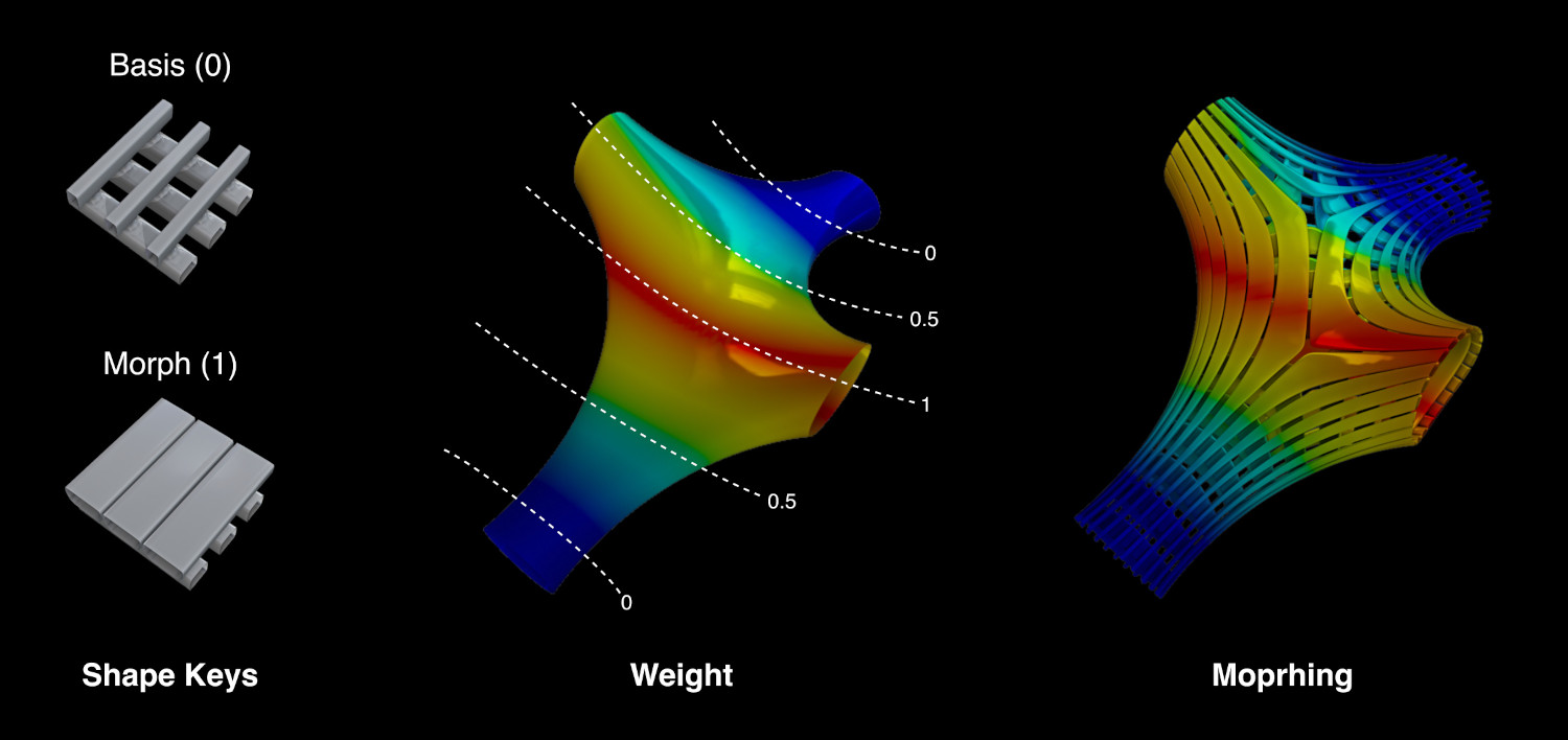 ../../_images/addons_mesh_tissue_tessellate-weight-and-morphing.jpg