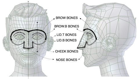 ../../../_images/addons_rigging_rigify_bone-positioning_face-eyes-nose-landmarks.png