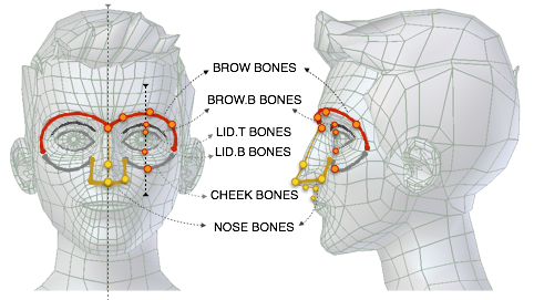 ../../../_images/addons_rigging_rigify_bone-positioning_face-eyes-nose-bones.png