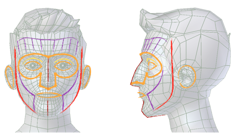 ../../../_images/addons_rigging_rigify_bone-positioning_face-landmarks.png