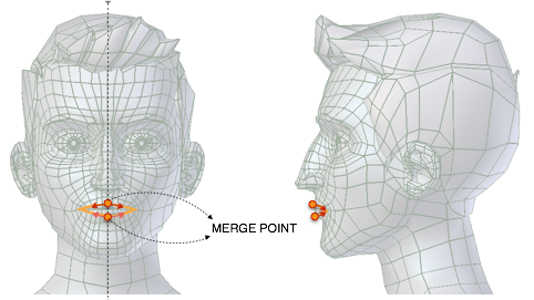 ../../../_images/addons_rigging_rigify_bone-positioning_face-lips-merge-point.png