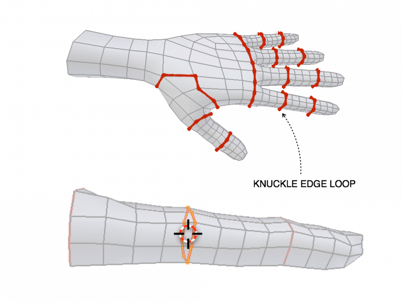 ../../../_images/addons_rigging_rigify_bone-positioning_fingers-edge-loops.png