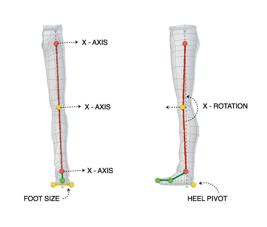 ../../../_images/addons_rigging_rigify_bone-positioning_limbs-leg-bones.png