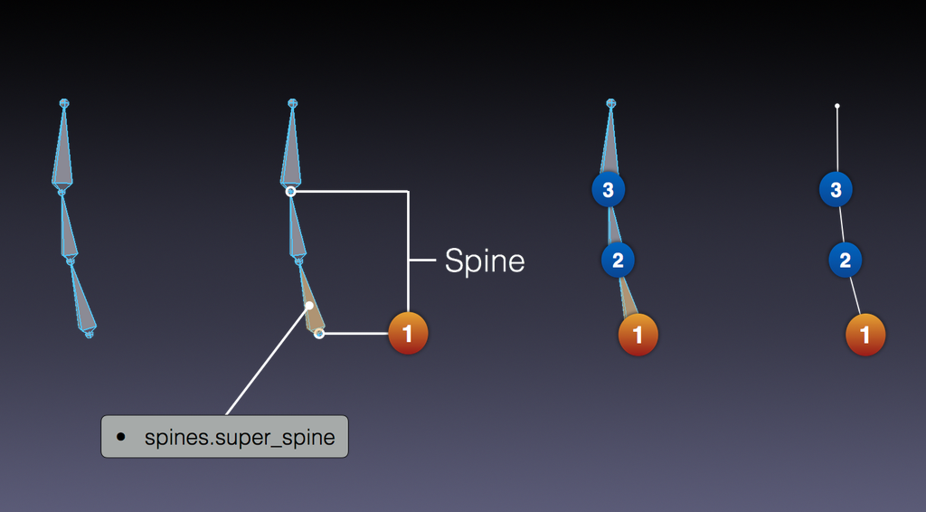 ../../../../_images/addons_rigging_rigify_rig-types_spines-required.png