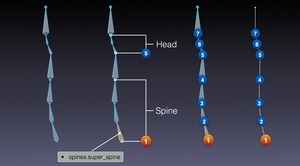 ../../../../_images/addons_rigging_rigify_rig-types_spines-default.png