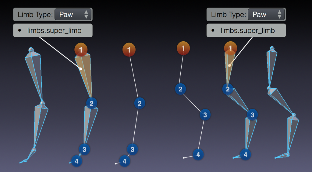 ../../../../_images/addons_rigging_rigify_rig-types_limbs_paw-required.png