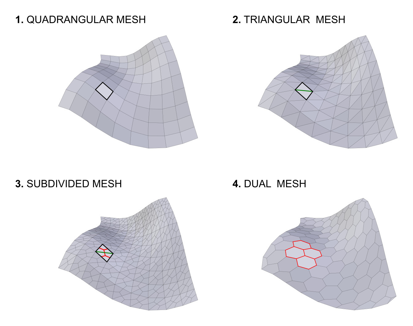 ../../_images/addons_mesh_tissue_dual-mesh.jpg