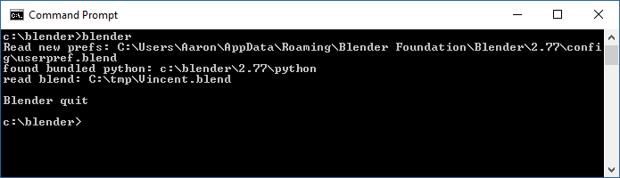 ../../../_images/advanced_command-line_launch_windows_console.png