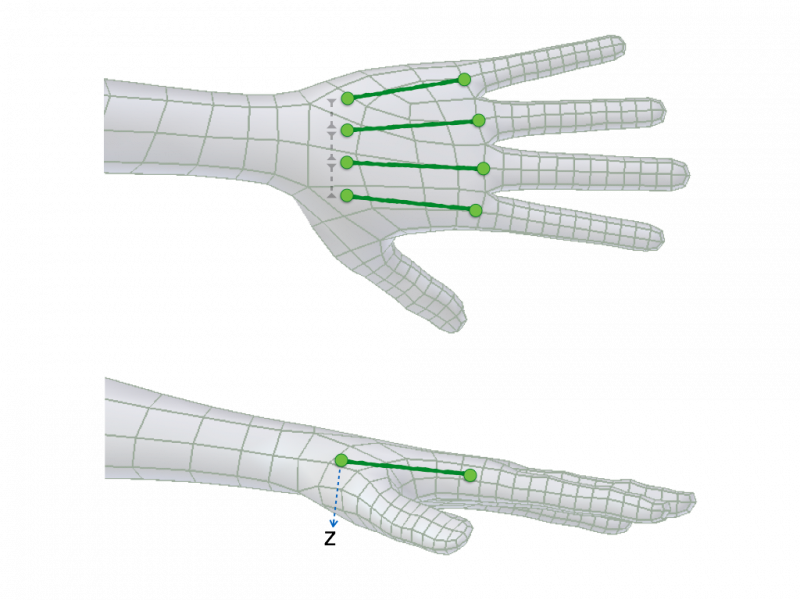../../../_images/addons_rigging_rigify_bone-positioning_fingers-palm-alignment.png